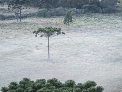 Frio chegando: cidade do Sul registrou temperatura de 0,1°C; veja mais sobre as previsões