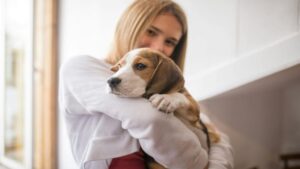 Amigos ou cãozinho de estimação: qual é a melhor companhia, segundo a ciência?