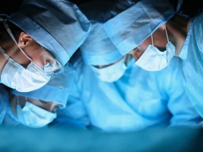 USP vai criar suínos para produção de órgãos para transplantes em humanos