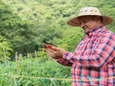 Como escolher um repetidor de sinal de celular: guia e dicas