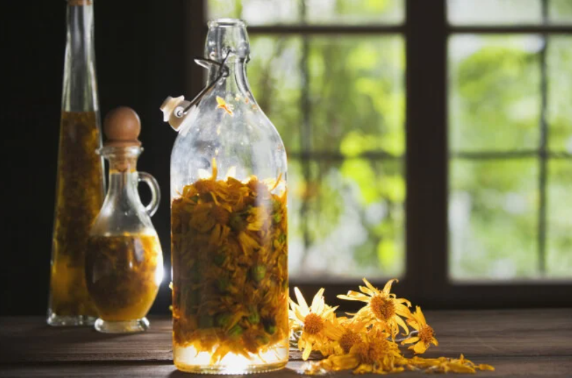 Arnica: para que serve e benefícios da planta