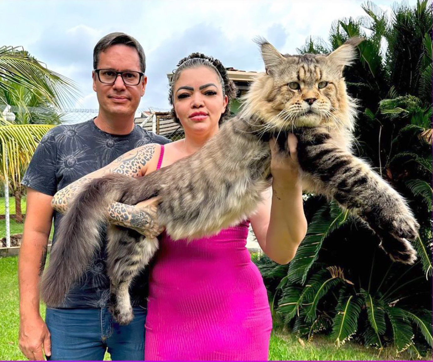 Marília terá neste domingo encontro de felinos com a presença de Xartrux, que concorre ao Guinness Book como maior gato do mundo. No Marília Shopping