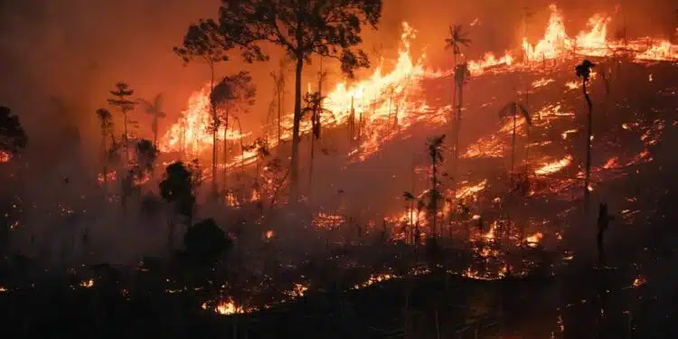 Brasil bate recorde de queimadas nos quatro primeiros meses de 2024