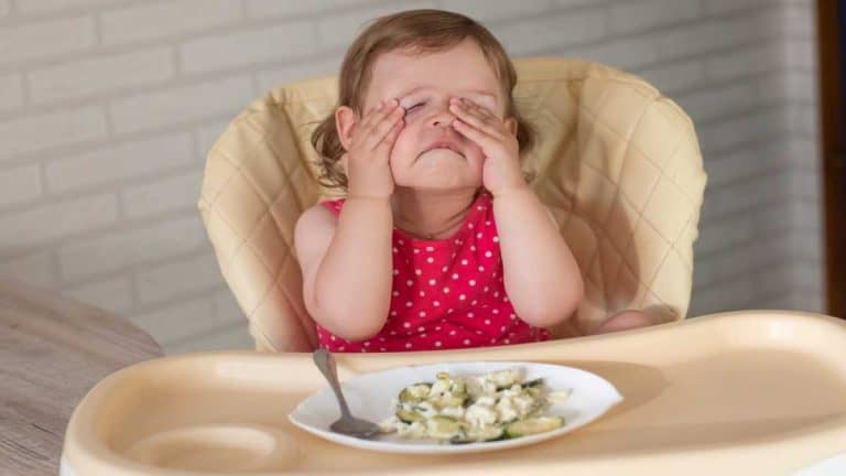 Por que sentimos menos fome no calor?