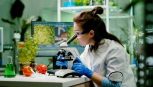 Abertas inscrições para o processo seletivo Vestibular 2024/2o. semestre da Fatec de Marília