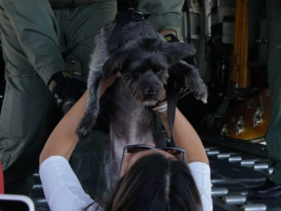 Janja faz encenação com soldados da aeronáutica e cachorro e causa polêmica, VEJA VÍDEO