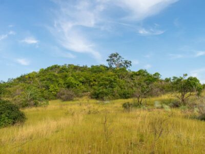 Região brasileira pode se tornar (quase) um deserto em breve