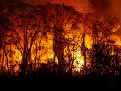 BOMBA: Pantanal registra maior número de incêndios em junho de toda história;