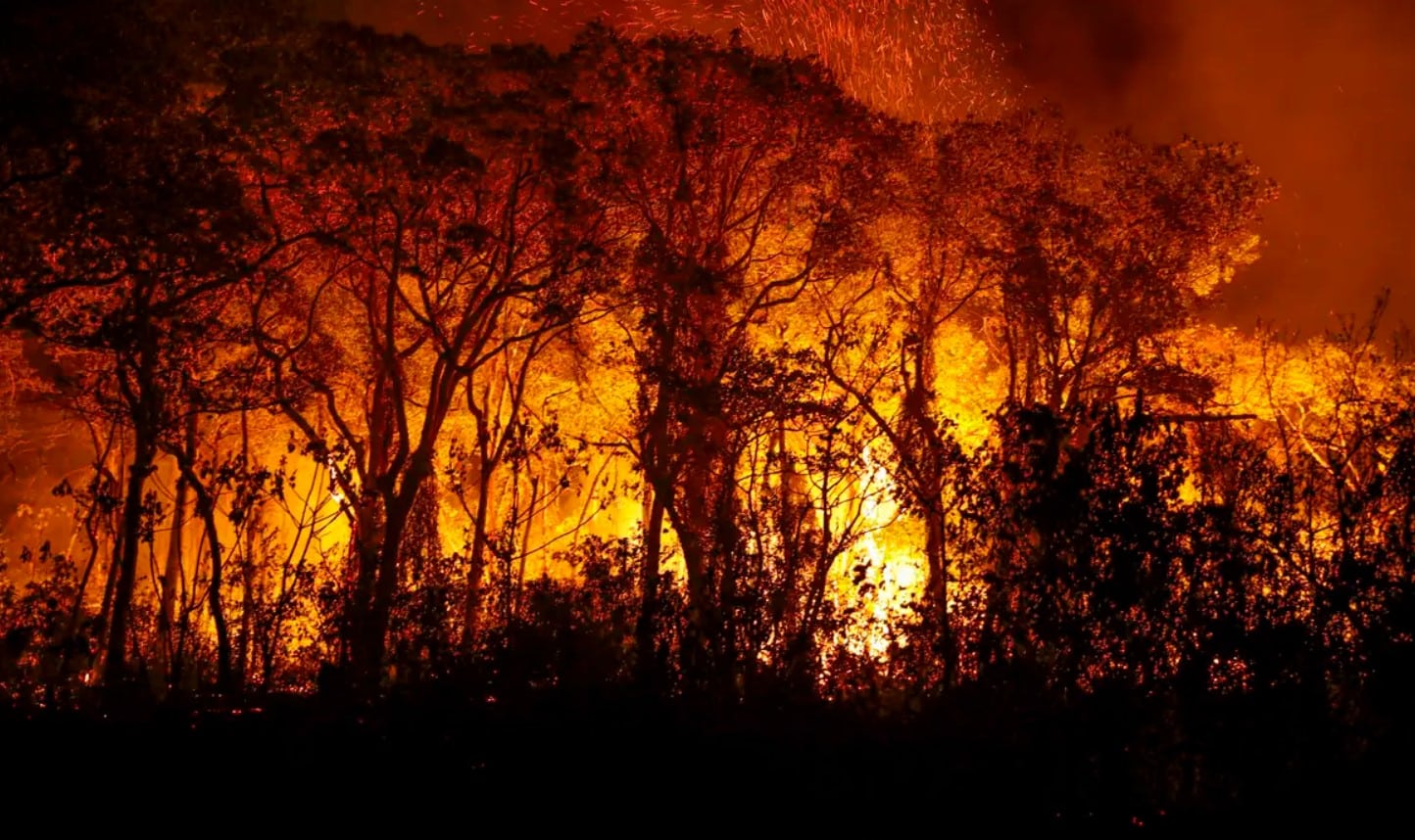 BOMBA: Pantanal registra maior número de incêndios em junho de toda história;