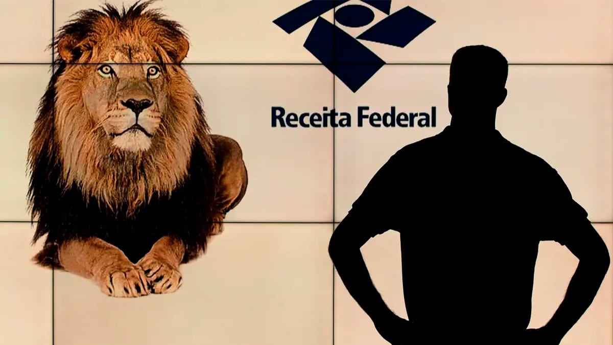 Quem declarou Imposto de Renda no prazo consegue ver se caiu na malha fina