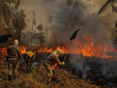 Quase mil por cento de aumento nas queimadas do Brasil assusta ambientalistas