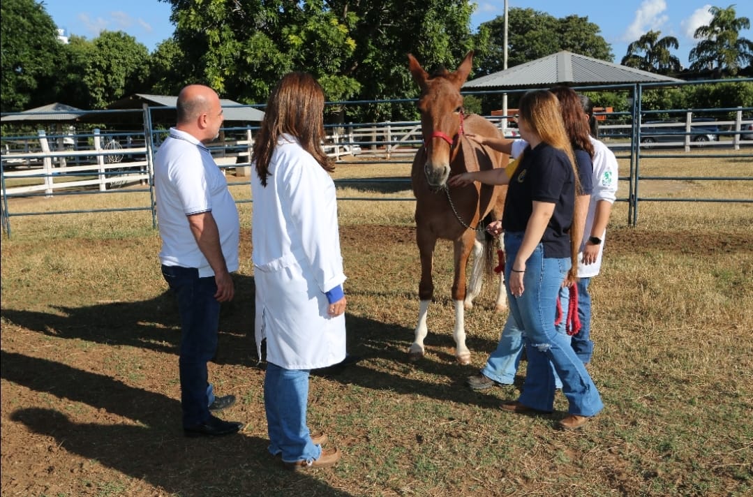 Acadêmicos de Medicina Veterinária da Unimar têm trabalhos científicos aprovados para a XXIV Conferência Anual Abraveq 2024