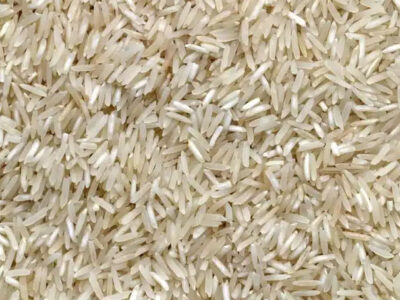 Pesquisa da USP aponta alta presença de toxinas fúngicas em arroz e farinha