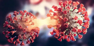 Novo estudo revela que Covid-19 pode afetar o cérebro de forma semelhante à esquizofrenia e acende alerta