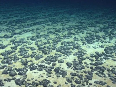 Cientistas descobrem ‘oxigênio negro’ no fundo do oceano pacífico; descoberta pode reescrever a origem da vida na Terra