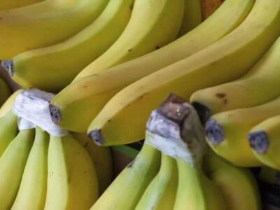 Amadureça bananas verdes dentro de uma hora com este simples truque