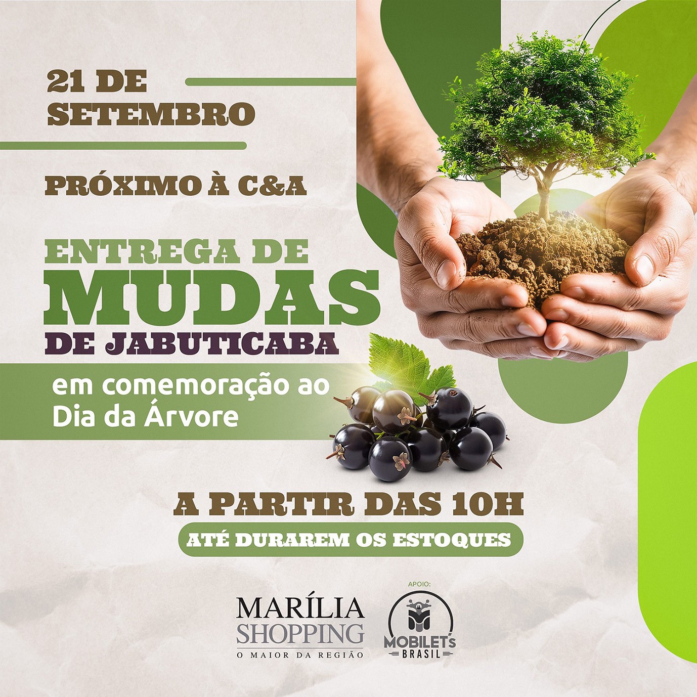 No “Dia da Árvore”, comemorado hoje, Marília Shopping celebra com distribuição de mudas de jabuticaba