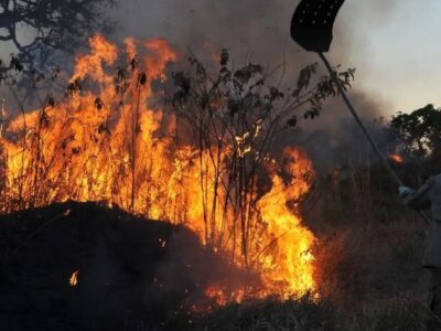 EM CHAMAS: Amazônia passa de pulmão do mundo a maior emissora de gases do efeito estufa