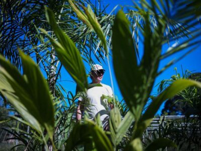 Festival de Cinema de Marília destaca o impacto da cannabis medicinal no documentário “A Planta”