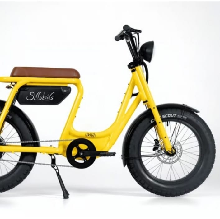 Nova e-bike de carga multiuso funciona como reboque e trailer