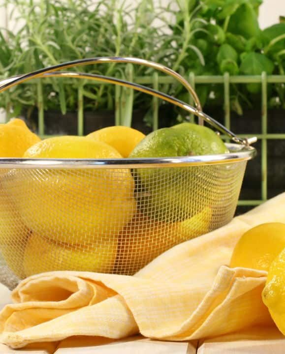Guia prático: aprenda a plantar limão em vaso e ter a fruta o ano todo em casa