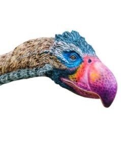 ‘Pássaro do terror’ tinha mais de 3 metros e era um predador temível