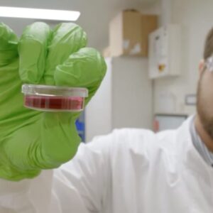 Tecido humano no espaço: pesquisa desvenda o envelhecimento