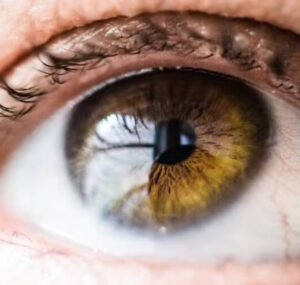 Visão humana é restaurada pela primeira vez com a substituição de células-tronco, marcando um avanço significativo na medicina regenerativa