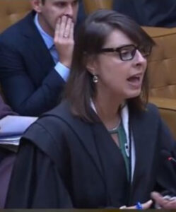 Advogada de Big Tech mostra ao STF, em sustentação oral, ser impossível remover conteúdo da internet sem decisão judicial; VEJA VÍDEO