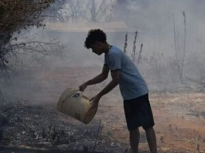 Entre janeiro e outubro de 2024, o Brasil queimou uma área equivalente ao estado de Tocantins