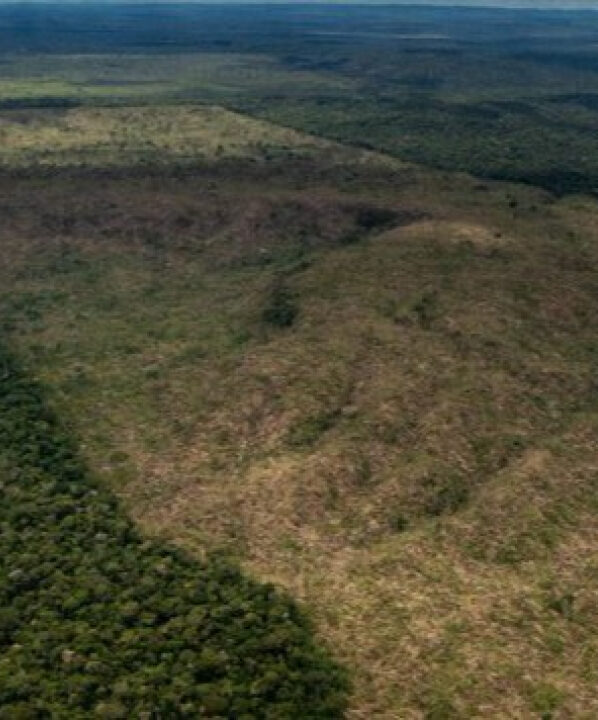 Durante o governo Lula, a degradação na Amazônia alcança o nível mais alto em 15 anos