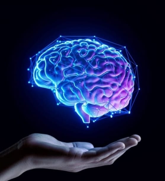 Estudo muda o que sabemos sobre a memória humana
