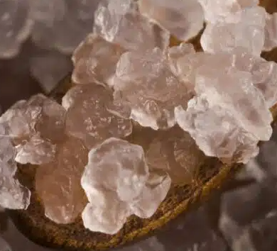 Iogurte é melhor que Kefir? Leia e descubra
