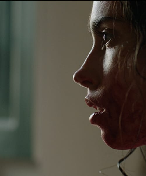 Clube de Cinema de Marília traz amanhã os filmes “O Clube das Mulheres de Negócios” e “Continente” amanhã. Veja sessões super especiais