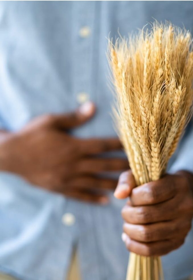 Qual é a origem da intolerância ao glúten? Ciência faz descoberta