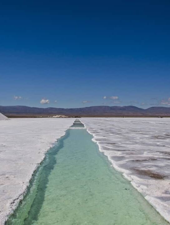 Mistério no deserto revela sinais de vida em condições extremas