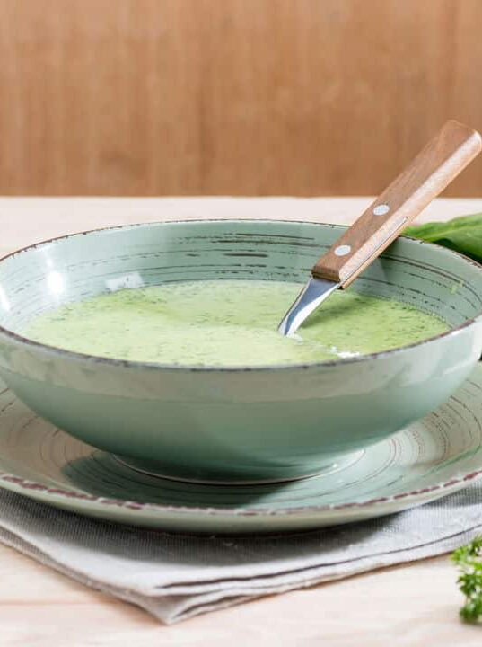 Limpe o seu corpo! Receita de sopa detox irresistível