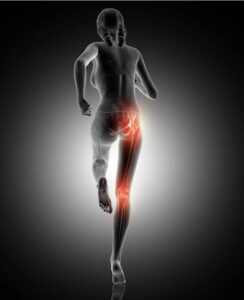 Conheça 5 causas da dor ciática, prevenção e tratamentos, inclusive para grávidas, segundo especialistas de Harvard. E tem um guia completo ainda, se quiser