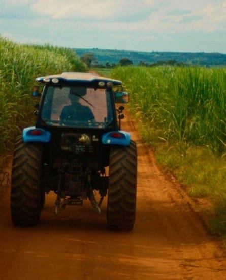 SP garante segurança jurídica no campo com 5 propriedades rurais regularizadas por dia