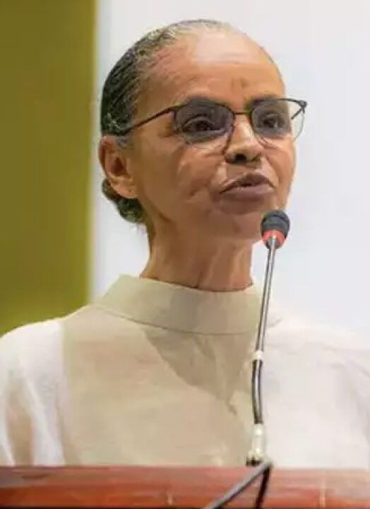 ONGs arrecadaram mais de R$315 milhões neste ano sob o ministério de Marina