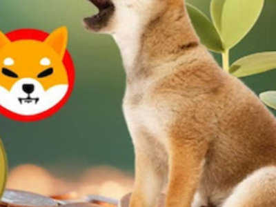 Shiba Inu vs. Dogecoin: Por que este token de $0,001 da Polygon pode superá-los ambos