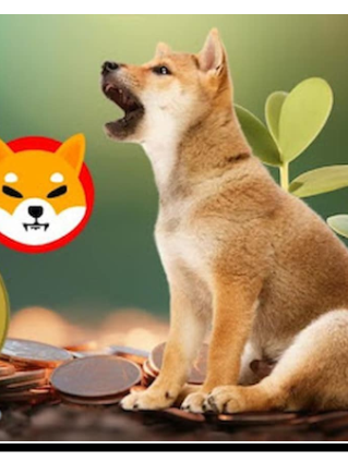 Shiba Inu vs. Dogecoin: Por que este token de $0,001 da Polygon pode superá-los ambos