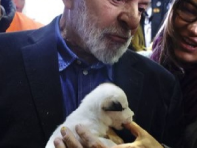 Lula sanciona a lei que institui o cadastro nacional de animais domésticos