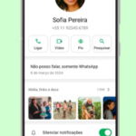 Você não vai mais precisar perguntar ‘qual é seu Pix?’ no WhatsApp