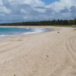 Revolta de pescadores: muro em praia do Nordeste gera protestos e polêmica