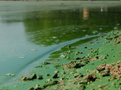 Você está seguro? 20 praias no Litoral Norte de SP estão impróprias para banho