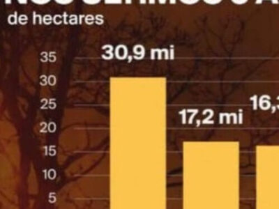 Globo exibe gráficos invertidos para falar sobre queimadas no Brasil; VEJA VÍDEO