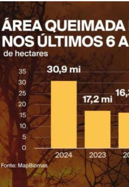 Globo exibe gráficos invertidos para falar sobre queimadas no Brasil; VEJA VÍDEO