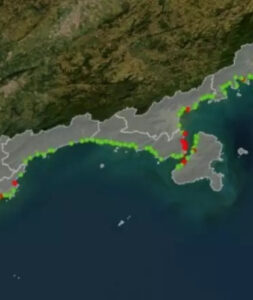Veja o que se sabe sobre o surto de virose no litoral de São Paulo: confira a lista das praias mais afetadas