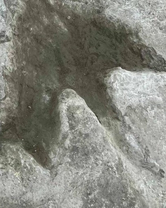 Centenas de pegadas de dinossauros são descobertas em pedreira no Reino Unido